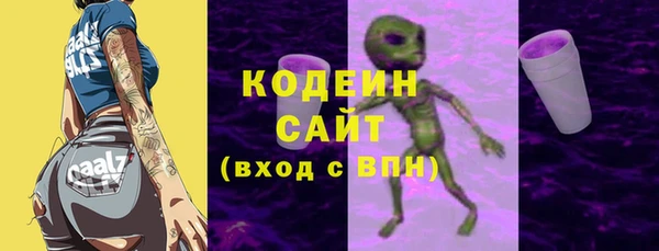 бошки Иннополис