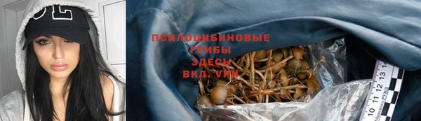 индика Чекалин