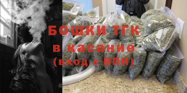 СК Инта