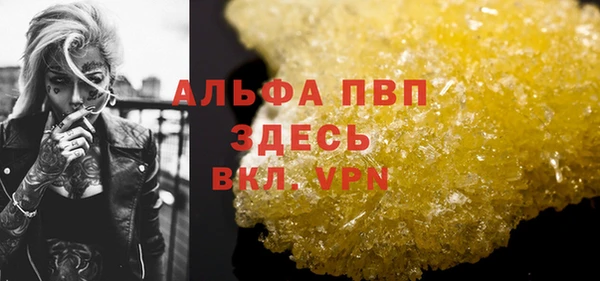 индика Чекалин
