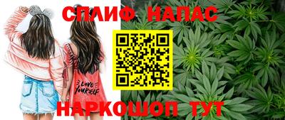 крисы Кимры
