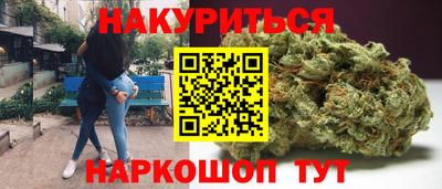 молекула духа Кингисепп