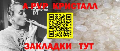 молекула духа Кингисепп