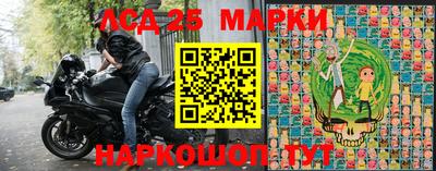 молекула духа Кингисепп