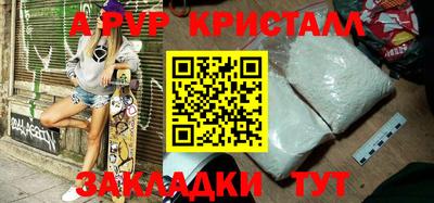 молекула духа Кингисепп